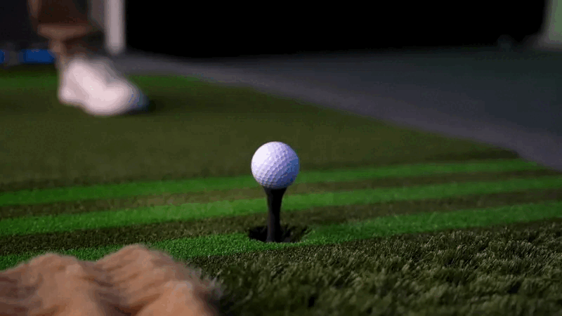 Auto-tee – ball returns automatically